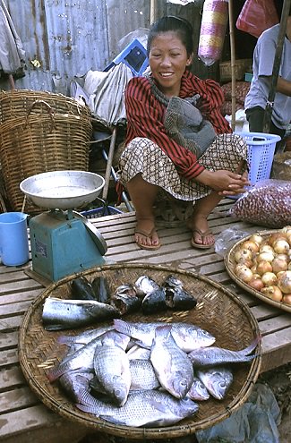 FAOclimate's tweet photo. #FishAdapt: Discussions continue on #climatechange mitigation & adaptaton in the fish sector https://t.co/p0JkBCR08y https://t.co/x6nu6WwYon
