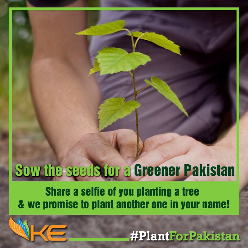 KElectricPk's tweet photo. Plant a tree and send us a selfie and KE will plant another one in your name! #PlantForPakistan https://t.co/ri5VEnCFqC