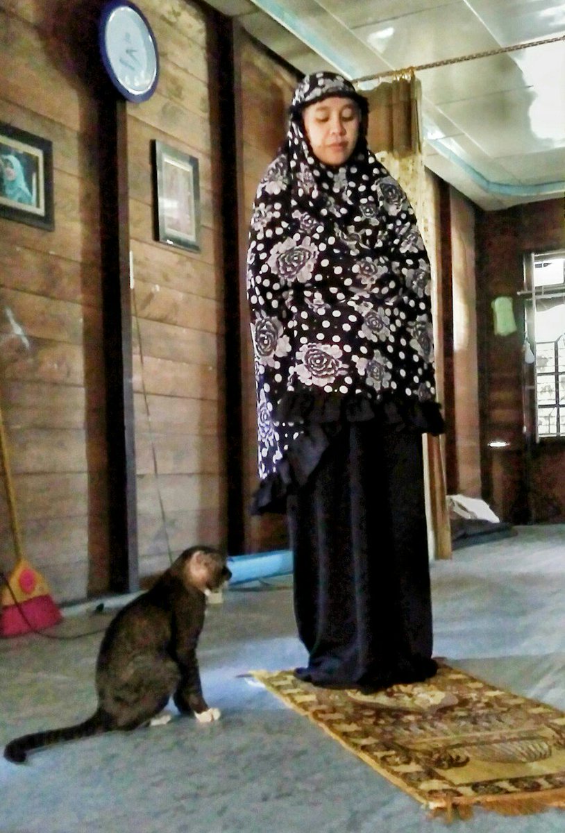 Kanda Ridho 🧷 tweet media