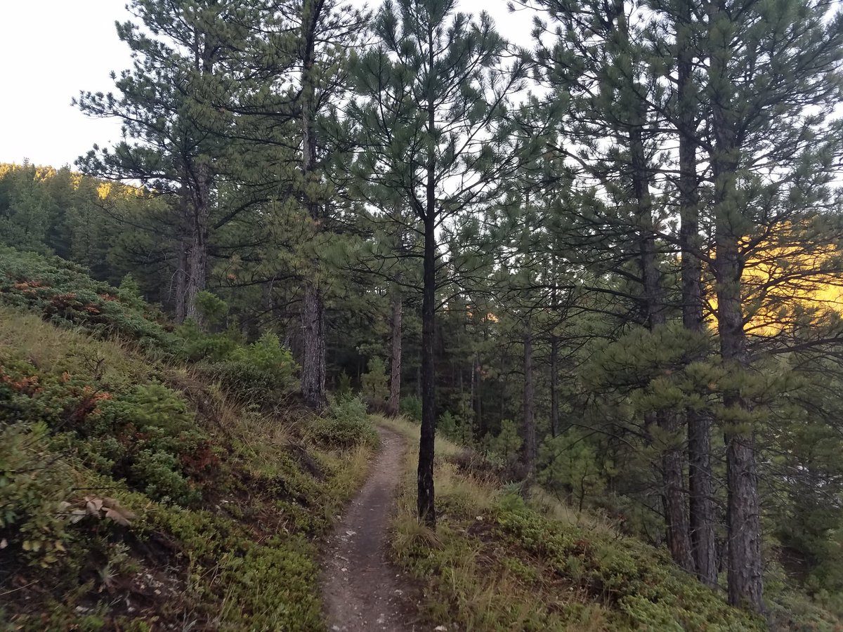DDRHelena's tweet photo. #MorningHike #HelenaMT #Ddrhelena #FirstUpFirstLight https://t.co/CQlqiMgQ0a