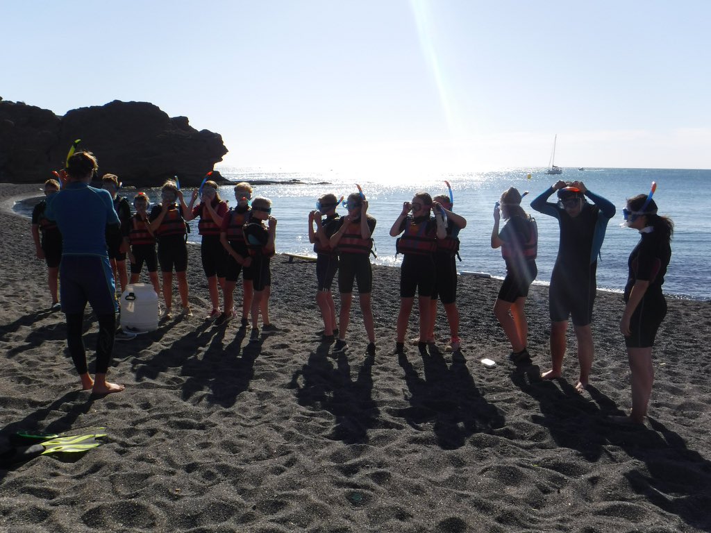 Wellswayvisits's tweet photo. Wellsway Dory search party ready for action! Apparently they found a "white Nemo" fish instead, whatever that is. https://t.co/8n8etJEvi2