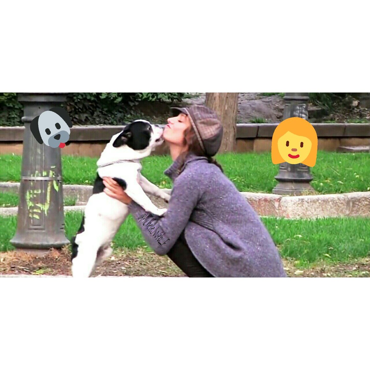 MichelleJWeb_F's tweet photo. Momentos que hablan por sí solos.🐶👩💚
@MichelleJWeb 
#MichelleYRingo 💘 https://t.co/dQgPnbVHp9