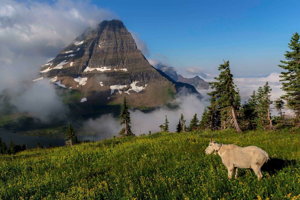 visitglacier's tweet photo. It hard to beat this view of a mountain. This is Bearhat Mountain in Glacier National Park. https://t.co/ypYyGpHjuG