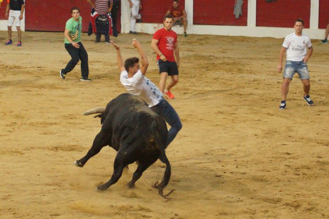 Las probadillas de iscar puro espectáculo cuellar7.com/las-probadilla… .<a href="/javiolmoss/">Javi Olmos</a> <a href="/rafamachaquito/">Rafacarbonero</a> <a href="/TaurinoCastilla/">Taurinos Castilla</a>