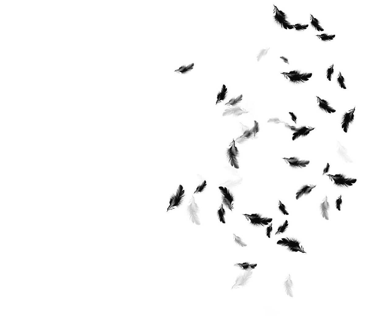 aesthetics tweet media