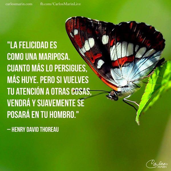 Compramas1's tweet image. Así es...todo llega en su momento. #frasesparalavida #mentepositiva