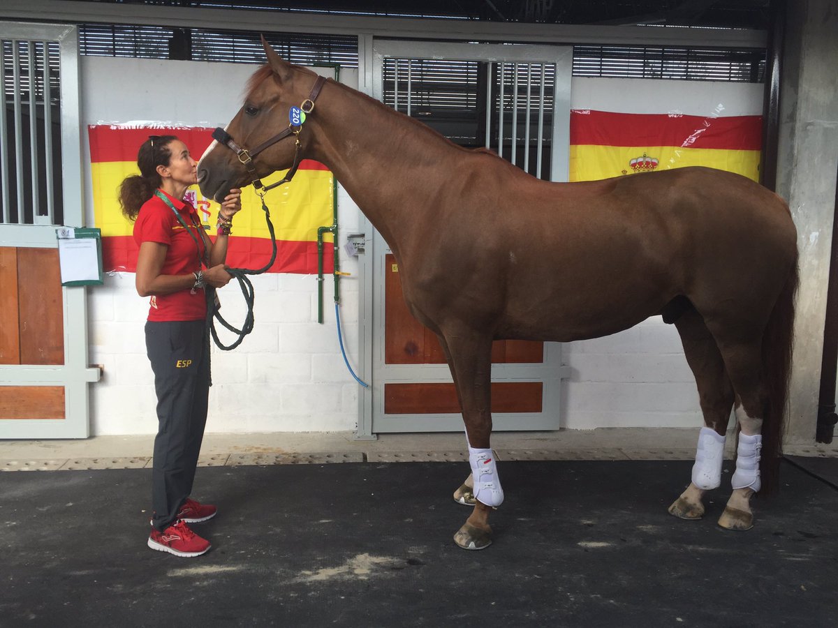 Hola <a href="/PalomadelrioTVE/">palomadelrioTV</a> ! Por qué canal se podrá ver la dona en España? Un fuerte abrazo!