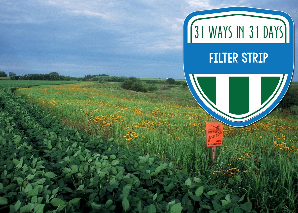 NRCS_WI's tweet photo. RT @IowaNRCS: #Filterstrips are used in a system for waterquality https://t.co/6ZGQR5qHIB #31waysin31days https://https://t.co/K83jAKATMI
