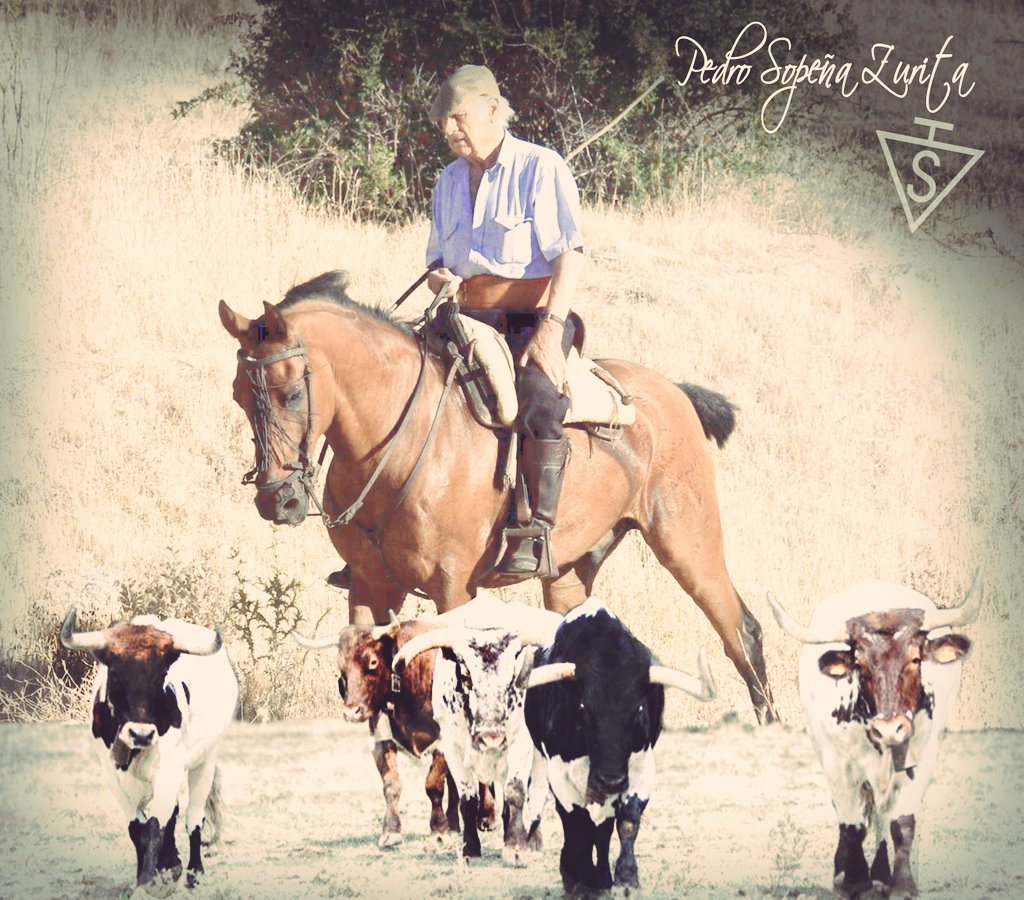 TejeroTomellosa's tweet photo. Porque esa parada de bueyes siempre tendra quien los guie. @GanaderiaSandra https://t.co/xCRRxHbkz4