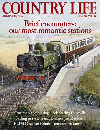 Countrylifemag's tweet photo. Collies; kitesurfing; secret railway stations; basking sharks &amp; remote restaurants - all in our new issue OUT TODAY! https://t.co/Wi3T2ywnE8