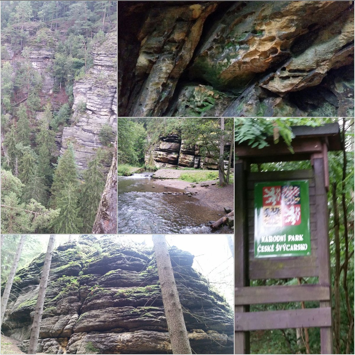 scouting_dan's tweet image. Day 8 challenge, "Czech out" rock formations in České Švýcarsko