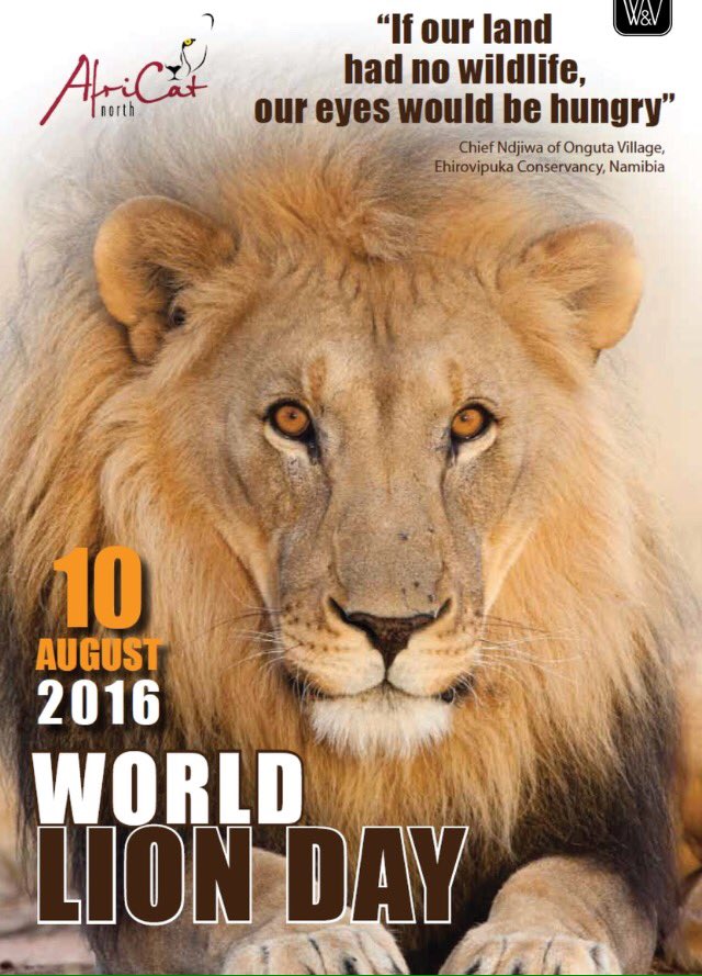 Wings for Animals tweet media