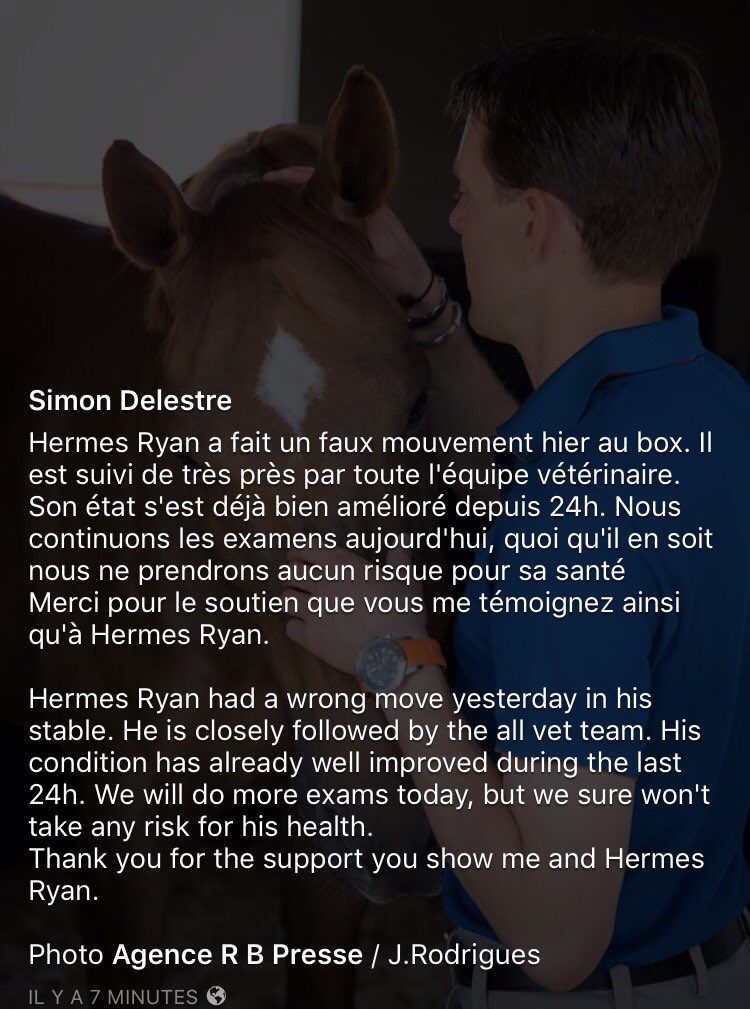 SimonDelestre's tweet photo. Des nouvelles de Hermes Ryan. Merci pour votre soutien. https://t.co/2B17yRZCll