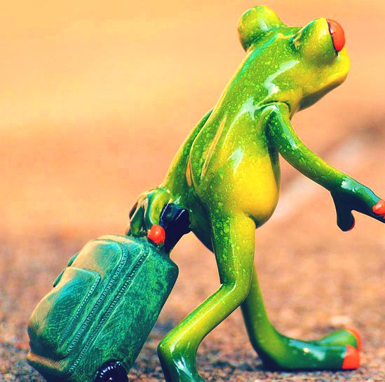 I can live without you! #Quityourjobsin5words