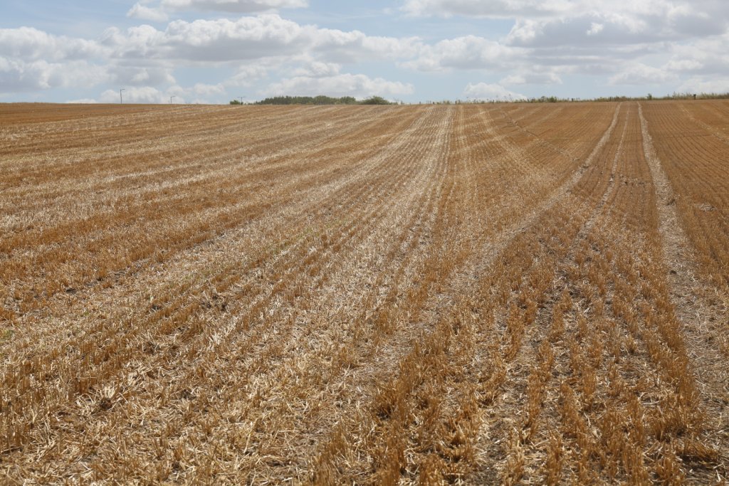 Weaving_Mach's tweet photo. We had a good day with the #GD3000M #drilling #OSR @ 4.5Kg/Ha into Barley stubble #directdrilling #dd #zerotill https://t.co/n1c7Uwzwlj