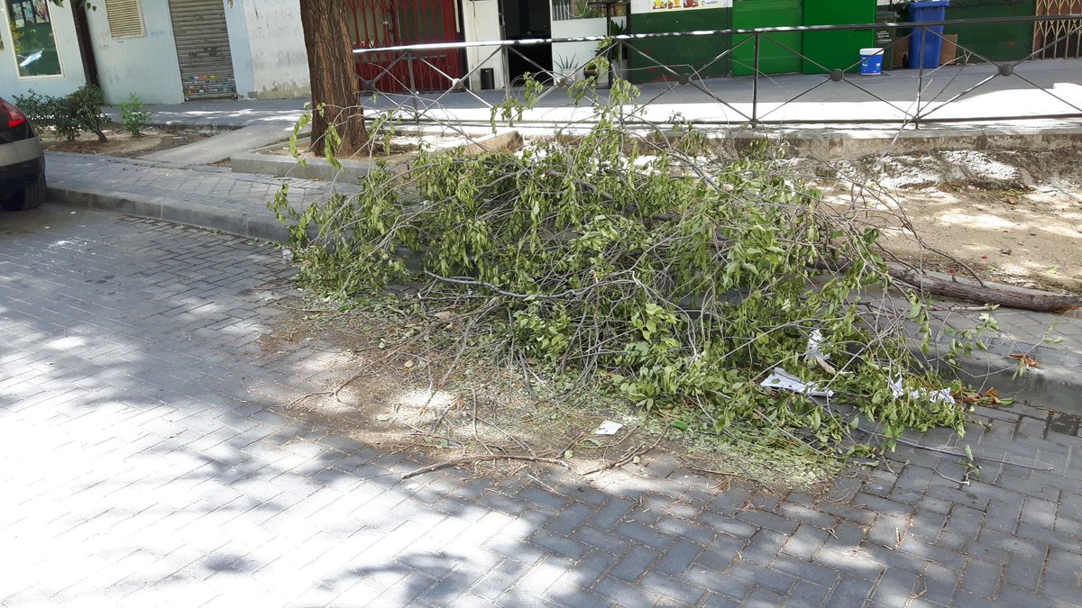 16BitsEra's tweet image. Día 12 y sigue aquí. Gracias @MADRID y @Lineamadrid por cuidar a los ciudadanos sois los mejores trabajando x Madrid