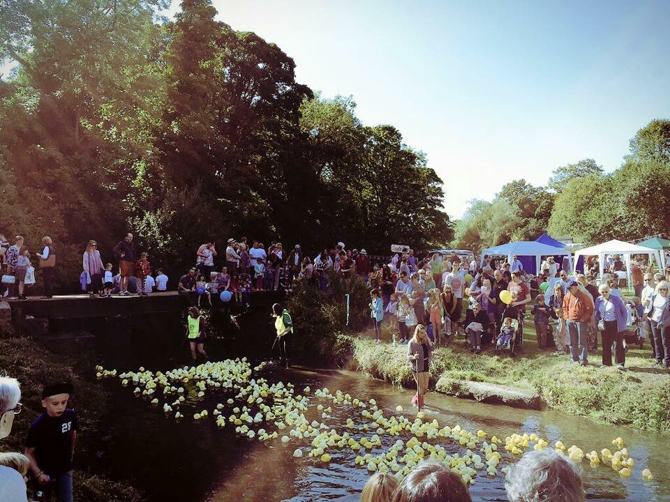 RotaryDuckRaces's tweet photo. Not long now until #Ponteland #Rotary Annual #DuckRace Join us in the park, Sunday 4 Sept 1.30-4pm https://t.co/WZgPgJCTnQ