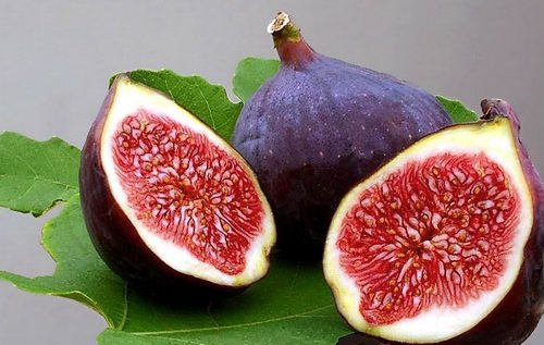 BasmaClinic's tweet photo. التين هو من الفواكه التى تحتوي علي نسبة من الألياف الطبيعية المفيدة لصحة القلب والتدفق الدموى للأعضاء التناسلية https://t.co/gF6iwjJFxI