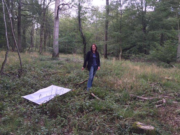 View image on Twitter