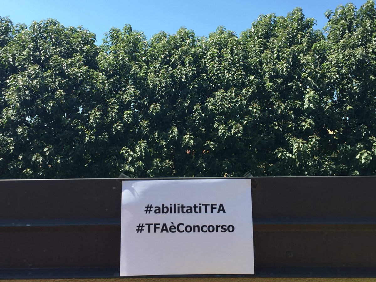 menedemus_heaut's tweet photo. Insegnanti iperselezionati sul fabbisogno #abilitatiTfa chiedono #doppiocanale @CoordNazTFA @FiorellaMannoia #tfa https://t.co/iy8oXB4gar