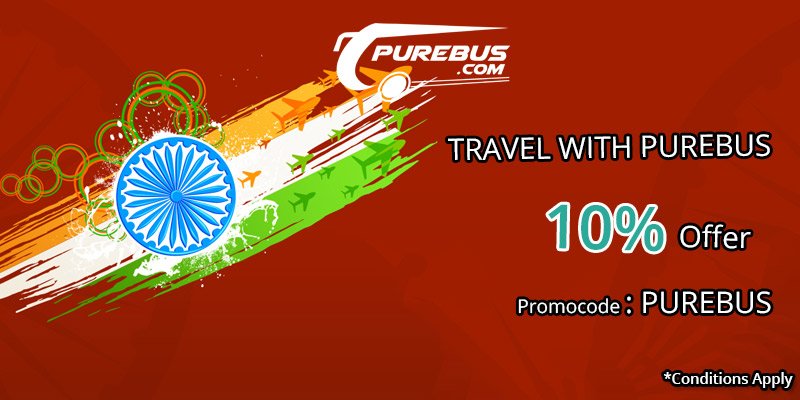PUREBUS tweet media