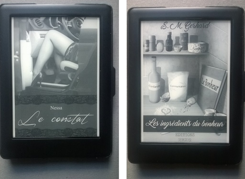c_coco31's tweet photo. #Achat sur @Kobo_FR  #Lesingrédientsdubonheur #SMGerhard aux @editionsdreamc1 &amp; #LeConstat @NessaAuteur @nessa31600 https://t.co/rZLSwEKAUs