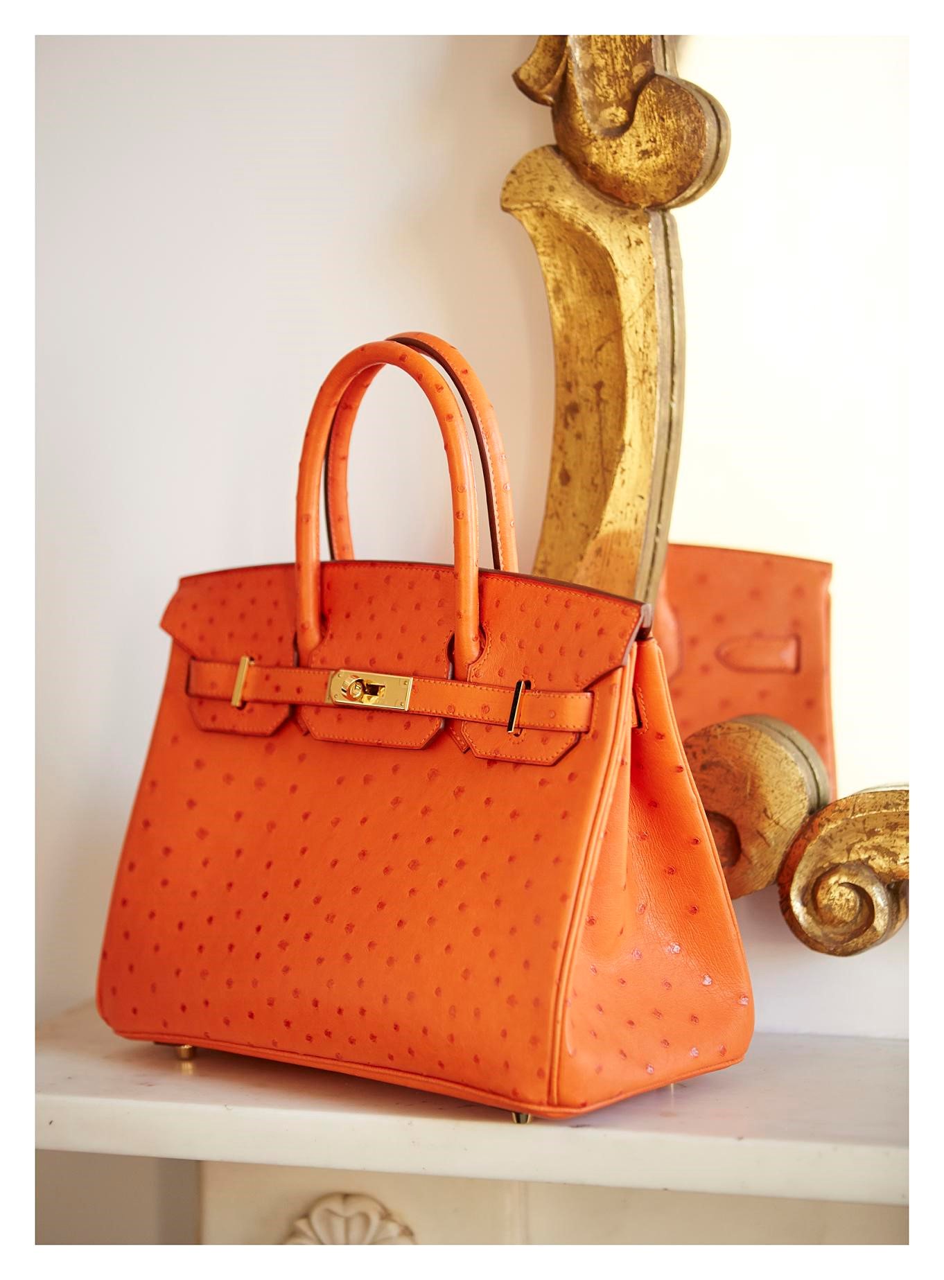 ✨ on Twitter  Luxury purses, Bags, Fancy bags
