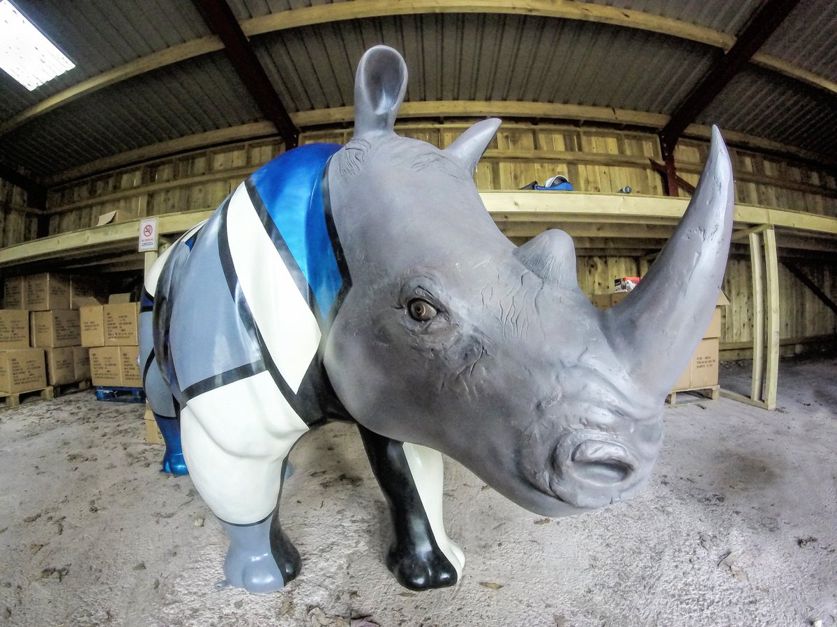 <a href="/GlimpsesRhino/">Glimpses</a> right after <a href="/FineFinishers/">Plastic Surgeon</a> Plastic Surgeons First Aid is still looking a bit nervous #BeNice2Rhinos