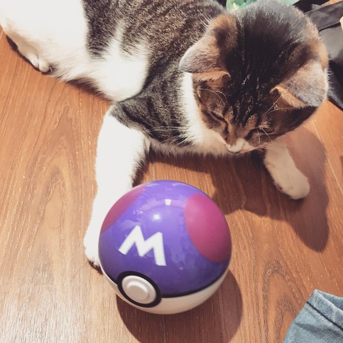 Twitterのコスプレ画像23