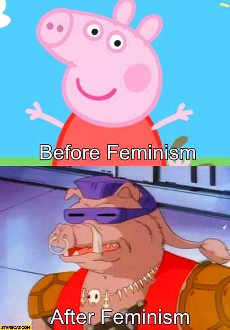 DeepestHumor's tweet image. Feminism.