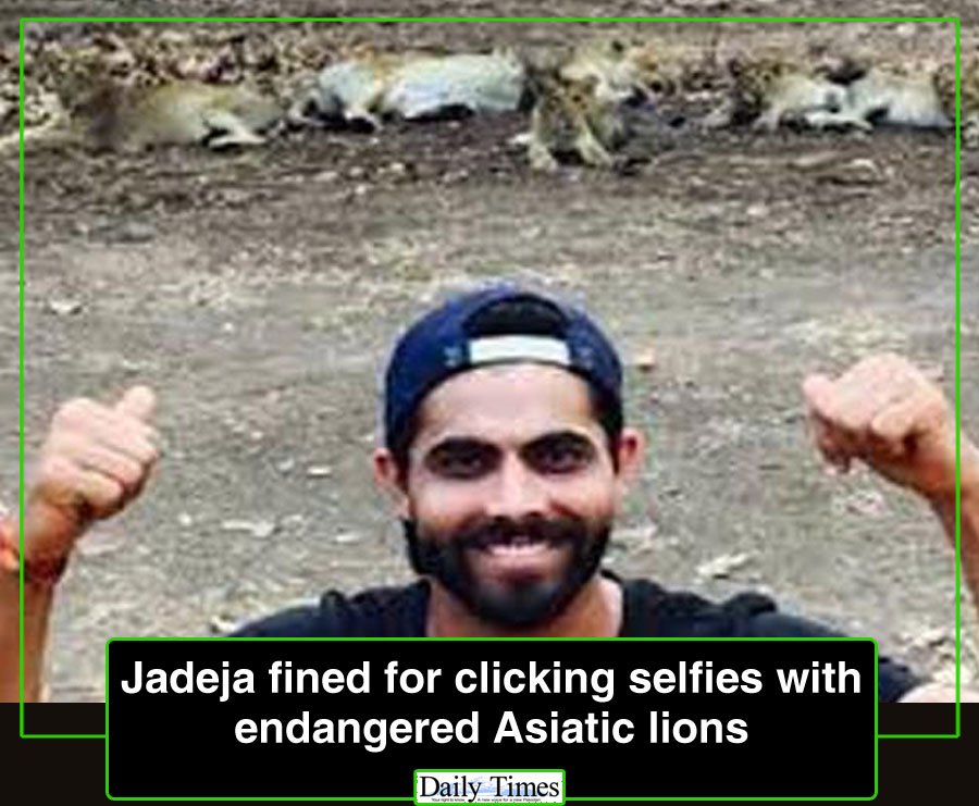 DailyTimesSport's tweet photo. @imjadeja fined for clicking #selfies with endangered Asiatic #Lions #IndvsWI 
https://t.co/5dGb59plbG https://t.co/B9YDzd7KLy