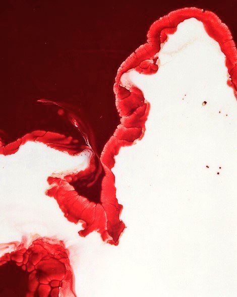 ''it is better to die fighting than it is to die having given up.'' — (u.k.)