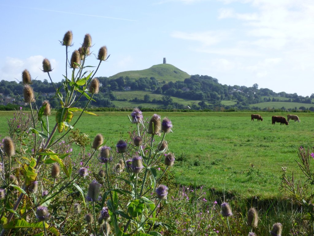 lovethelevels's tweet photo. First gallery, #Glastonbury Tor, added to #discoverthelevels see https://t.co/HmkWmgpZLN @waterlevels @VisitSomerset https://t.co/Solmaiozft