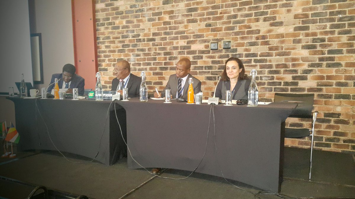 SadcEnergy's tweet photo. SADC Director of Infrastructure &amp; Services at the opening of the SADC RE &amp; EE Strategy and Action Plan this morning https://t.co/WnBsTHfqGd