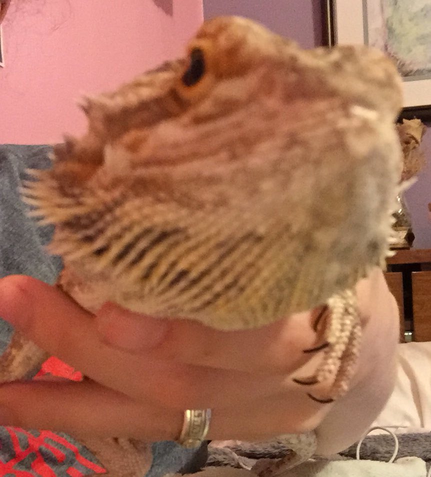 BernDoesThings's tweet image. Got my nails did :)