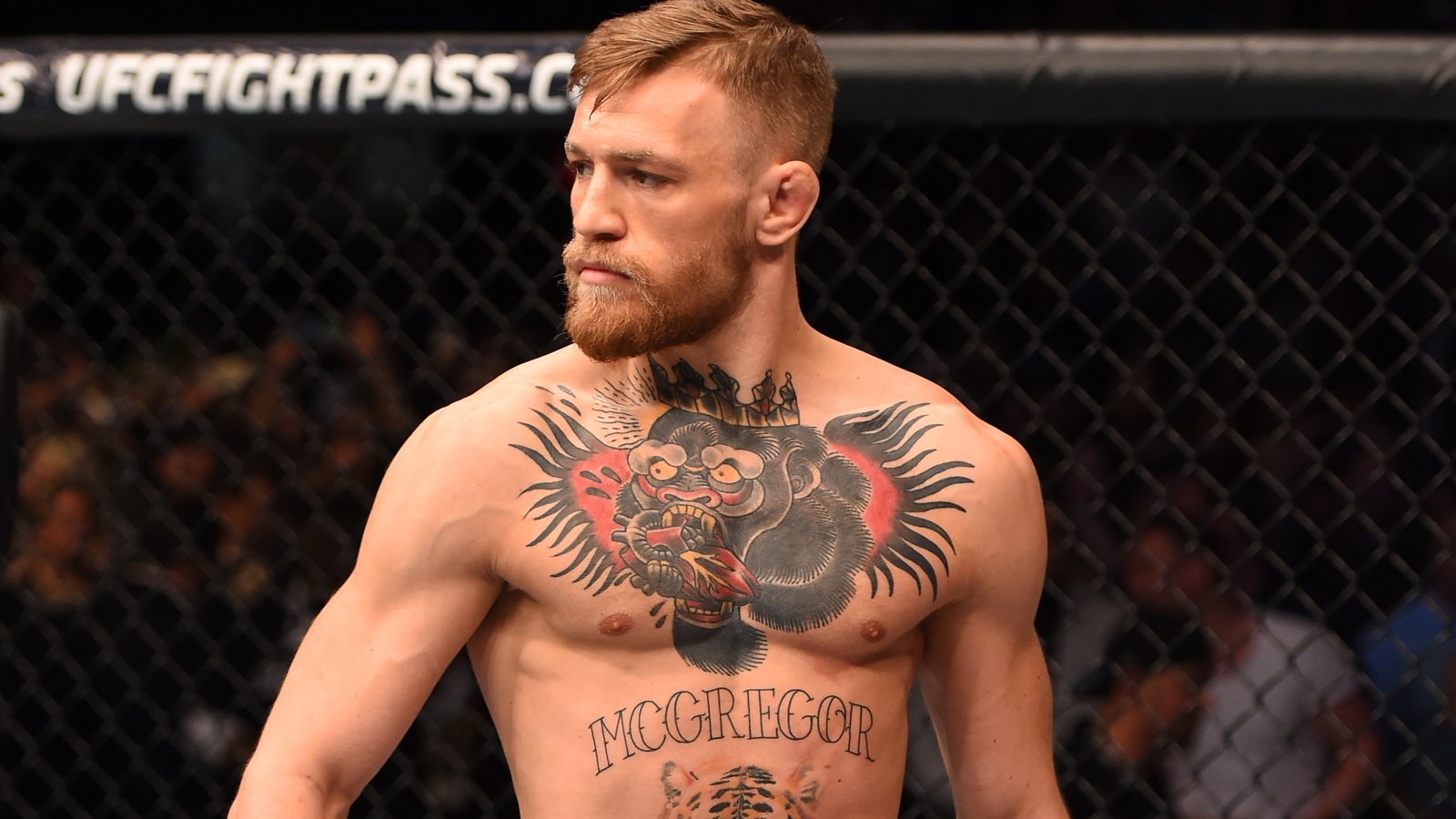 Тату бойцов UFC Конора