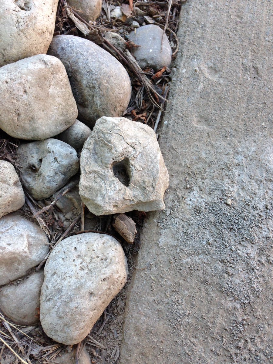 marykateshafer's tweet image. Love finding hearts :) #someonelovesme #feelthelove #watchforsigns