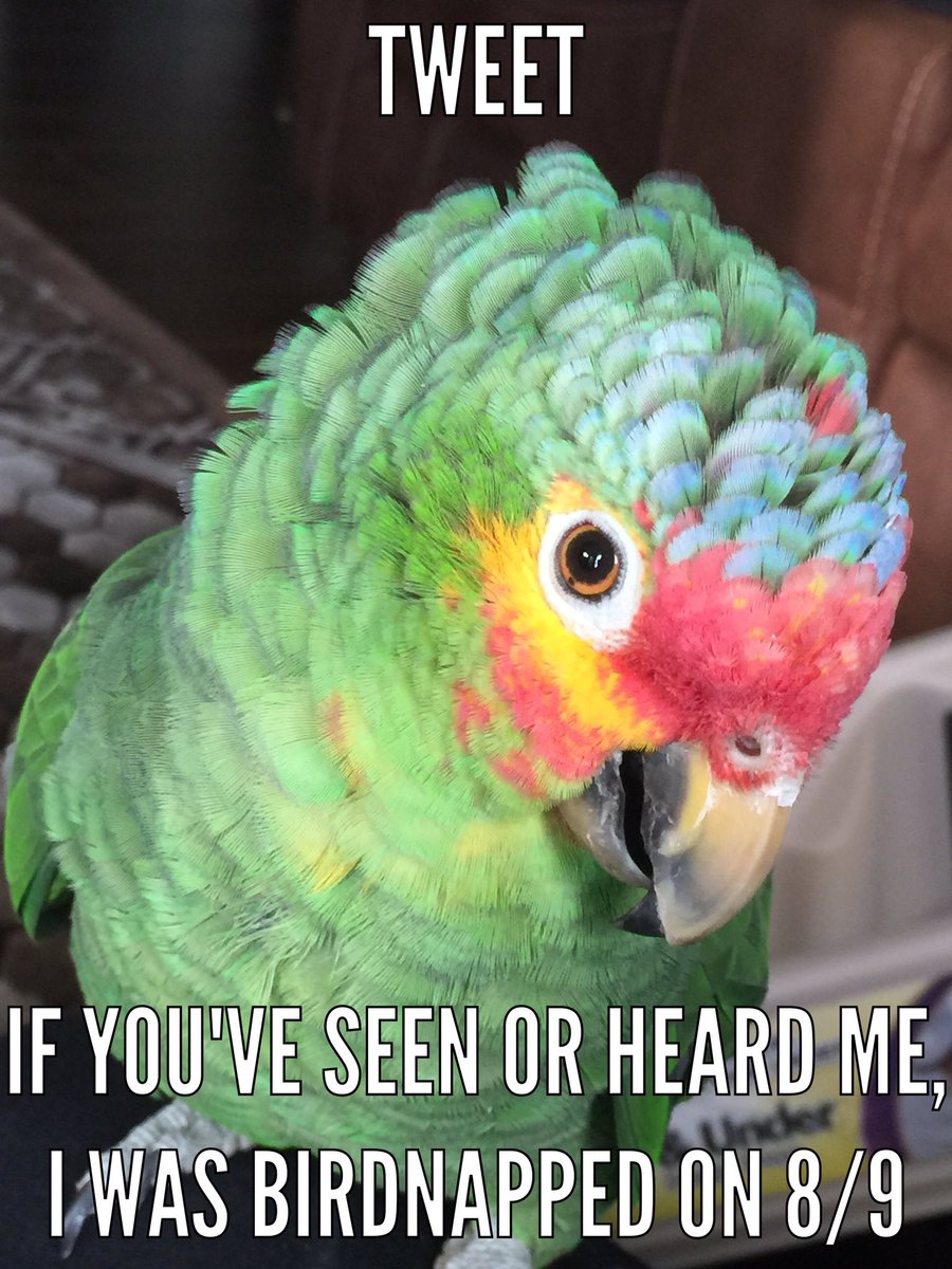 Victor Park (VictorParkNews) Twitter