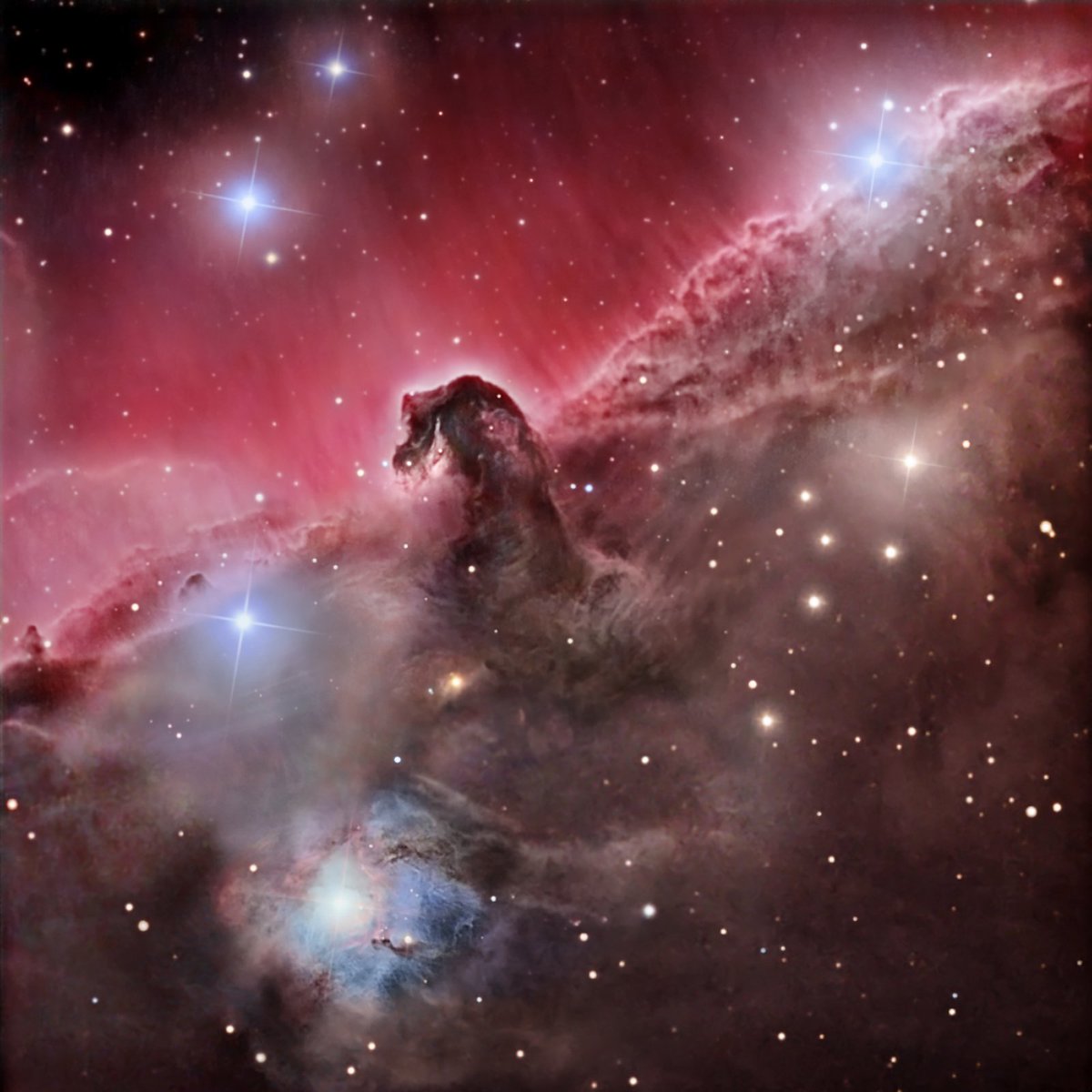Learntoskywatch's tweet photo. The Horsehead Nebula
Doesn't get much more beautiful than this!
Image: Marco Burali, Tiziano Capecchi, Marco Mancini https://t.co/NQYLsgLWjN