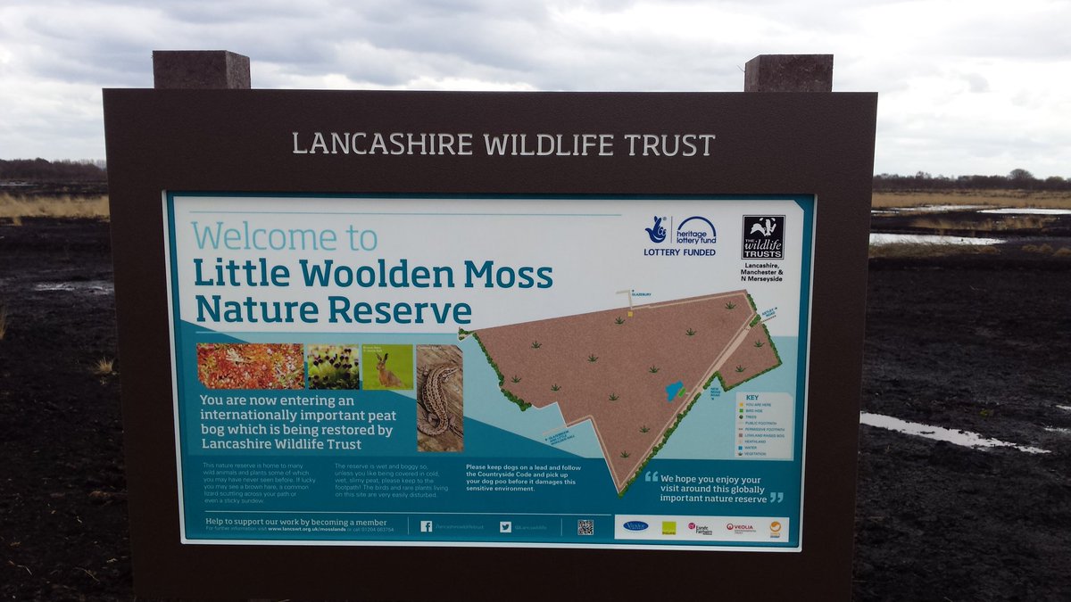 MancunianBirder's tweet photo. Natural carbon capture on the #Salford Mosses @IrlamCadNow @princes_park @ILoveMCR @BarryGardiner @Andy4Manchester https://t.co/onWzQZl0W2