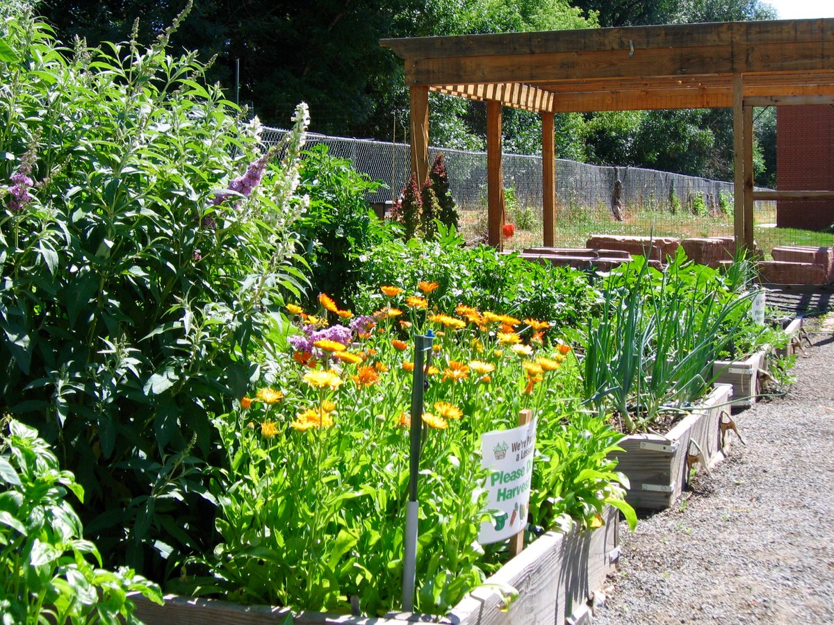 School starts in a week and students will return to beautiful gardens. growefoundation.org