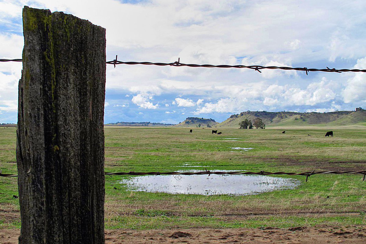 klamathriver's tweet photo. Creative Incentives to Boost Groundwater Recharge in #California via @WaterDeeply https://t.co/hDWZdL0YTh https://t.co/TkcoTJONHU