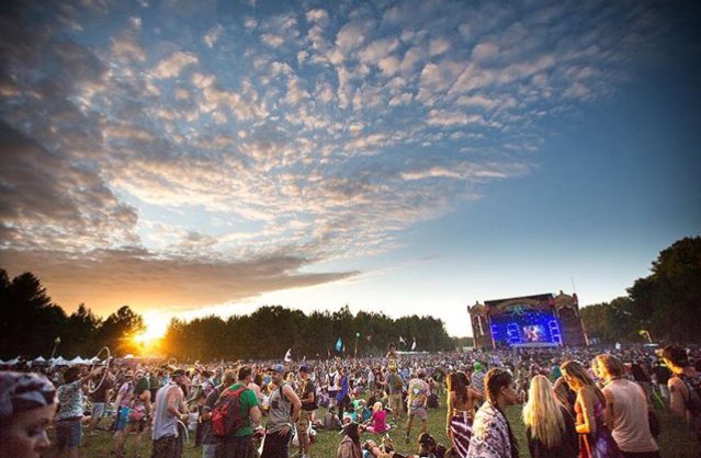 PLURBunnies's tweet photo. Take me to Electric Forest so I know it's real🙏💖 https://t.co/hoGKOgcnmV