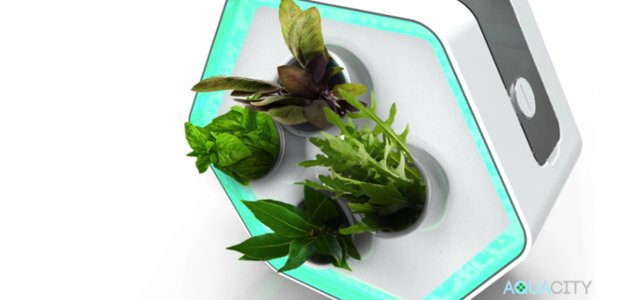 CSRPictures's tweet photo. RT- Wall-Mounted, Modular Gardening Innovation Wins the 1st Student Living Product Prize https://t.co/OXG825LC20 https://t.co/yYeBEkGg15