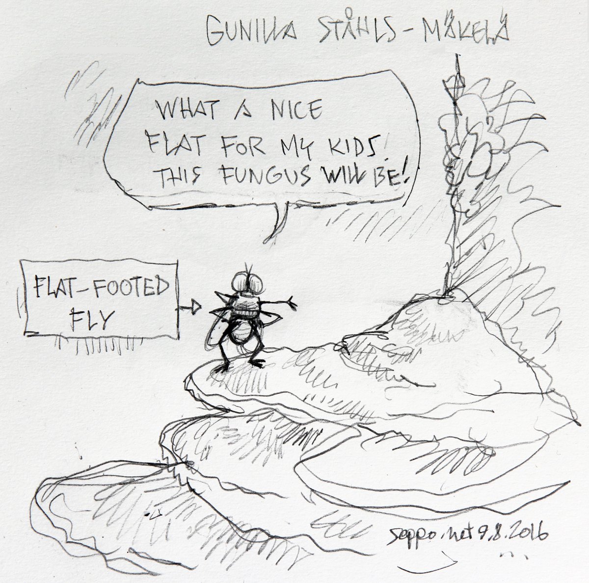 sepponet's tweet photo. Gunilla Ståhls-Mäkelä: Brachycera, #flatfootedfly #Deadwood #DWML2016 https://t.co/ptzW6Inyy9 https://t.co/dBDZ04lT0w