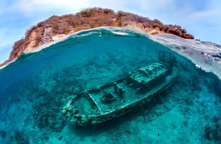 Island of Curacao 
#Travel #Trending #Curacao #travelgram #underwater #photography