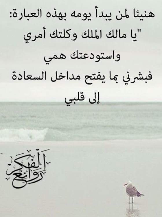 يارب