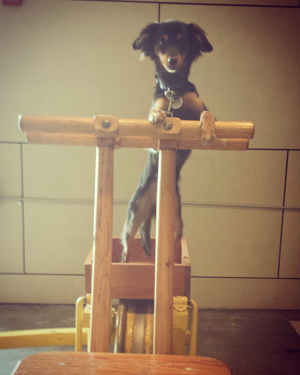 McleanMill's tweet photo. Did you know there's a museum at our train station? This lil' guy is showing off our Velocipide (solo pump speeder) https://t.co/oD67qYYdpX