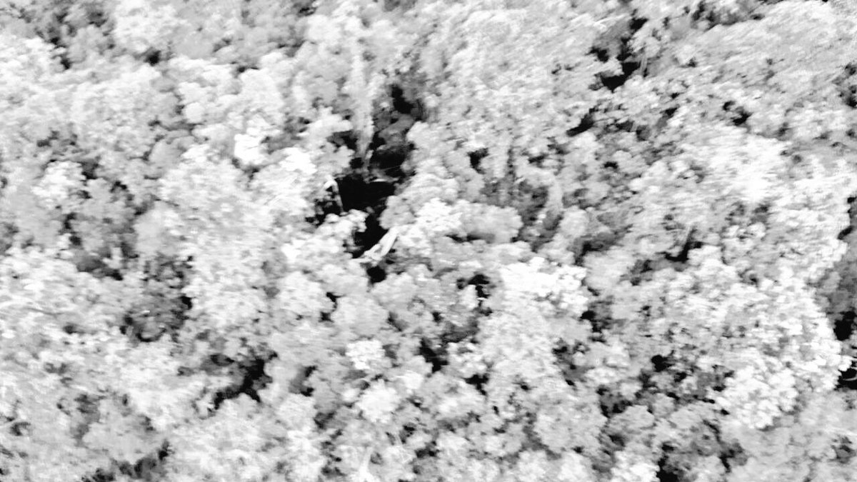 Primer avistamiento ACCD. HK4822G <a href="/AerocivilCol/">Aeronáutica Civil</a>