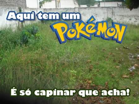 ArchanjoSdv's tweet photo. #VcAtrasDePokemonE eu aqui esperando alguém vim procurar pokemon no meu quintal https://t.co/vKBlOayS3H